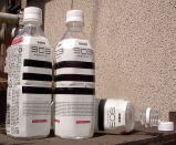 �X�O�R�@�N�G���_